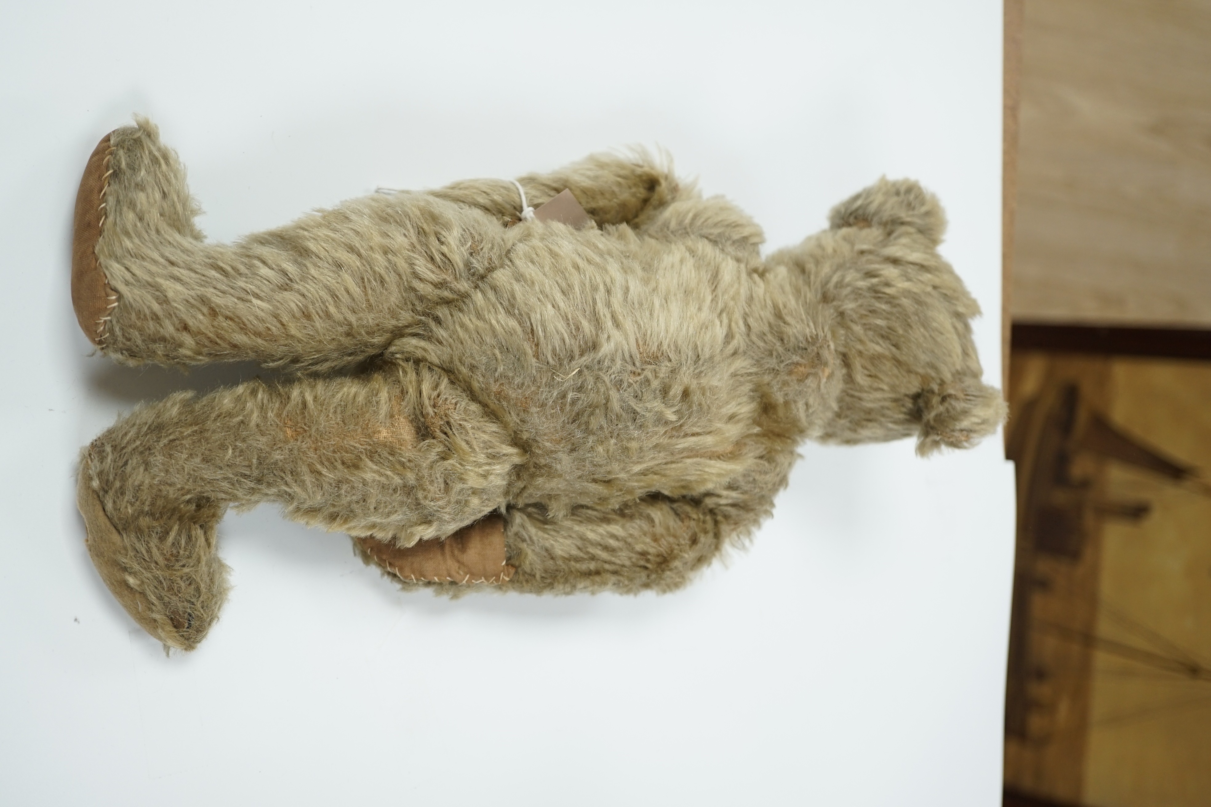 A Steiff teddy bear with button in ear, circa 1910, 35cm